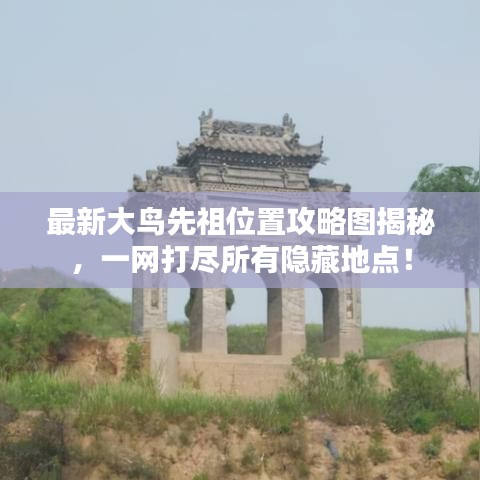 最新大鸟先祖位置攻略图揭秘,一网打尽所有隐藏地点!