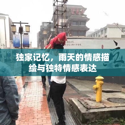 独家记忆，雨天的情感描绘与独特情感表达