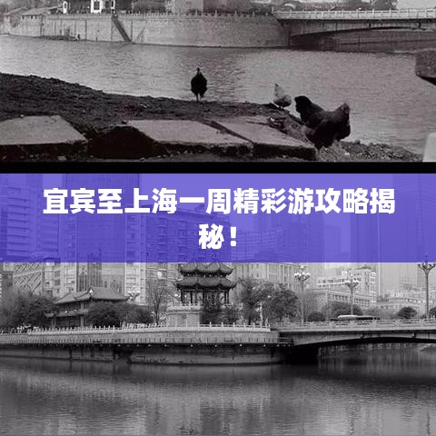 宜宾至上海一周精彩游攻略揭秘！