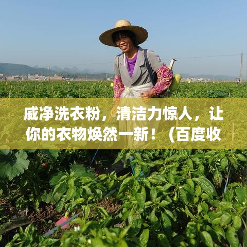 威净洗衣粉，清洁力惊人，让你的衣物焕然一新！ (百度收录标准标题)