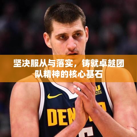 坚决服从与落实，铸就卓越团队精神的核心基石