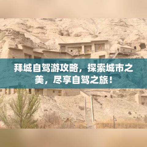 只言片语官方下载,高效策略设计解析-复刻版_v7.595