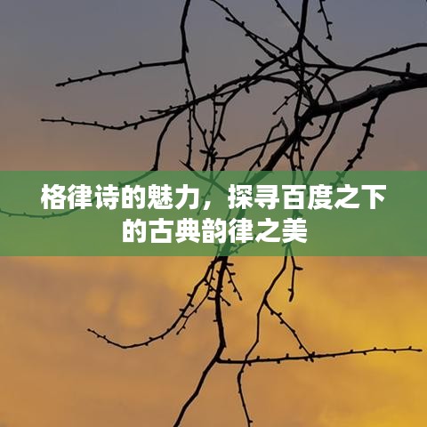 格律诗的魅力，探寻百度之下的古典韵律之美