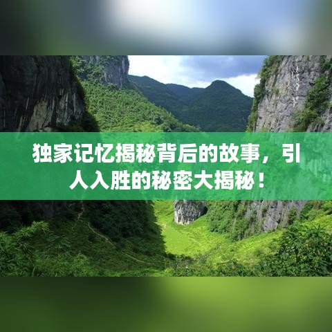 独家记忆揭秘背后的故事，引人入胜的秘密大揭秘！