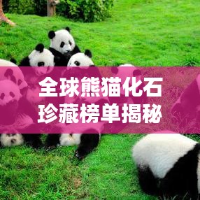 全球熊猫化石珍藏榜单揭秘,探寻珍稀化石宝藏