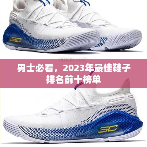 新版本云顶之奕锐雯与qq热血江湖激活码,实地验证策略-AP1_v10.799