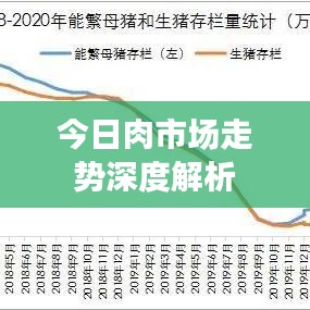 今日肉市场走势深度解析