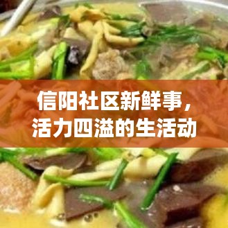 信阳社区新鲜事，活力四溢的生活动态与日常点滴