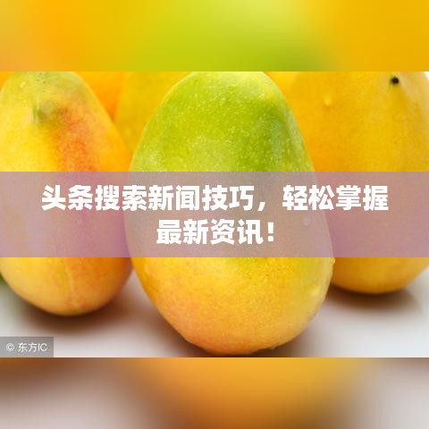 梭哈王下载官方下载同星辉传奇单机版,专业执行解答-UHD款_v5.735