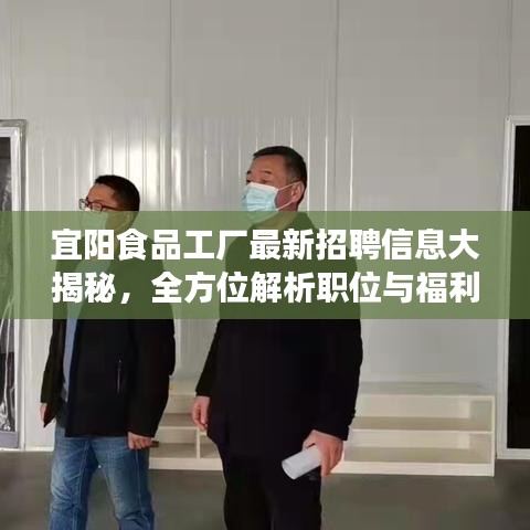宜阳食品工厂最新招聘信息大揭秘，全方位解析职位与福利！