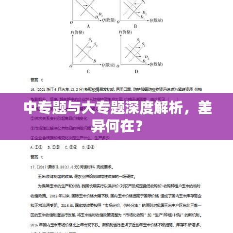 中专题与大专题深度解析，差异何在？