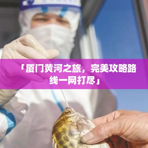 「厦门黄河之旅，完美攻略路线一网打尽」