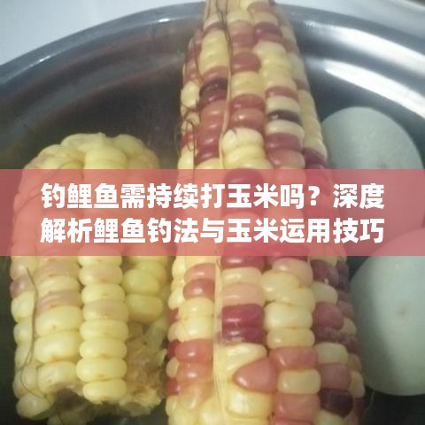 钓鲤鱼需持续打玉米吗？深度解析鲤鱼钓法与玉米运用技巧