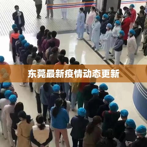 东莞最新疫情动态更新