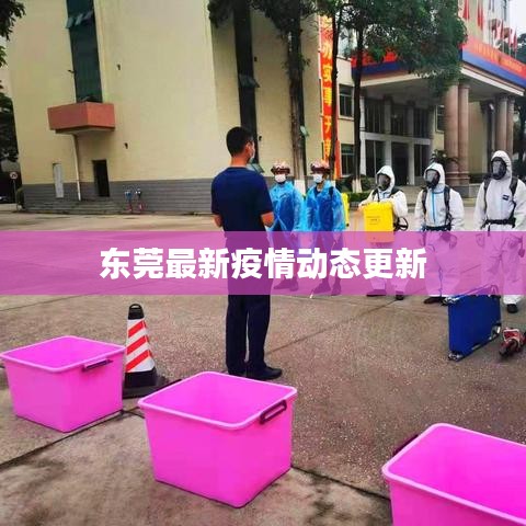 小米运动新版本,实地研究解析说明|2D_v6.413