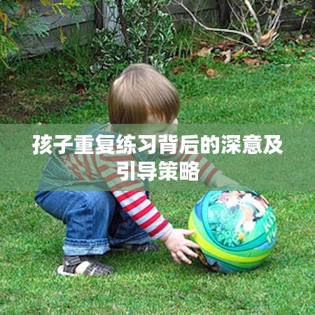 孩子重复练习背后的深意及引导策略