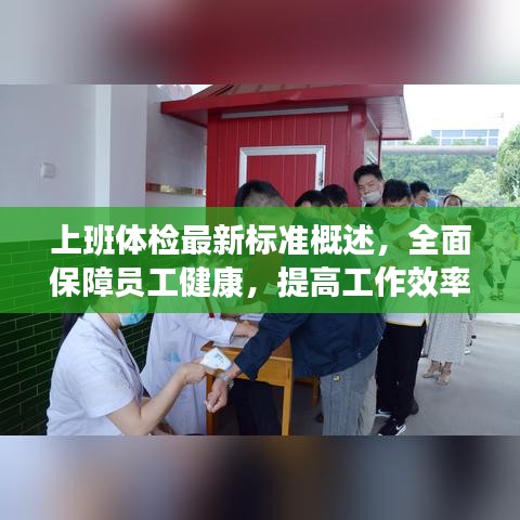 上班体检最新标准概述，全面保障员工健康，提高工作效率