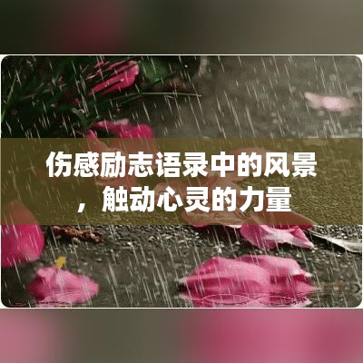 伤感励志语录中的风景，触动心灵的力量