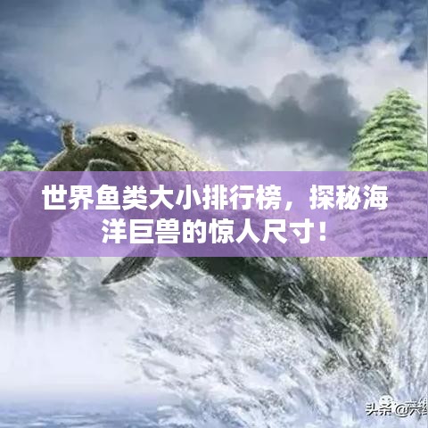 世界鱼类大小排行榜,探秘海洋巨兽的惊人尺寸!