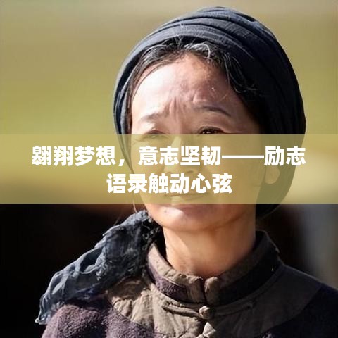 翱翔梦想，意志坚韧——励志语录触动心弦