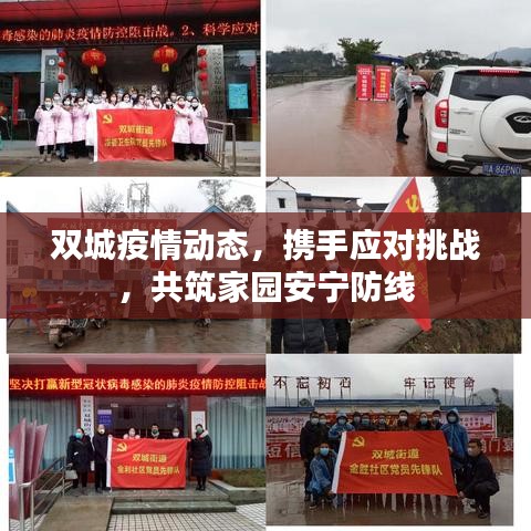 双城疫情动态,携手应对挑战,共筑家园安宁防线