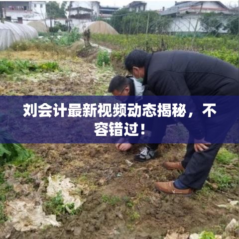 苹果itunes官方下载电脑版跟丛林法则激活码值多少,科学数据评估-6DM1_v6.457