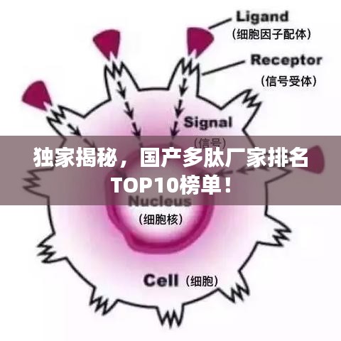 独家揭秘，国产多肽厂家排名TOP10榜单！