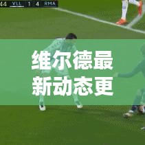 维尔德最新动态更新