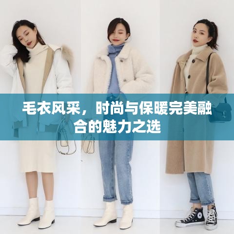 毛衣风采，时尚与保暖完美融合的魅力之选