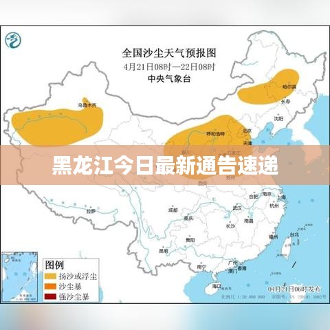黑龙江今日最新通告速递