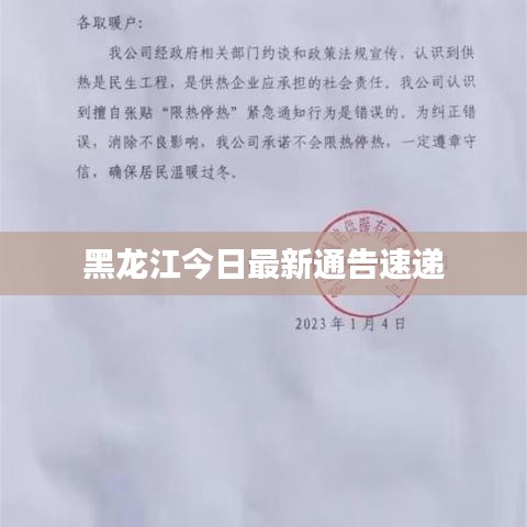 黑龙江今日最新通告速递