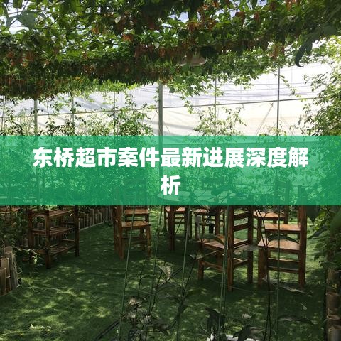 东桥超市案件最新进展深度解析