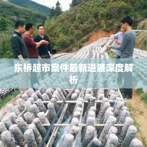 东桥超市案件最新进展深度解析