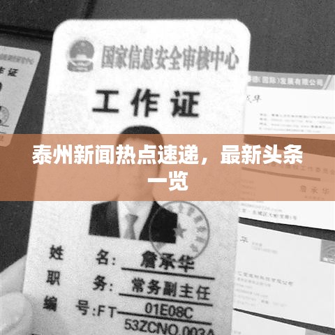 泰州新闻热点速递，最新头条一览