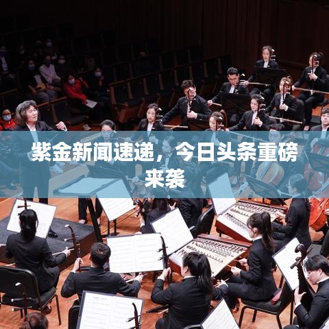 紫金新闻速递，今日头条重磅来袭