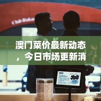 澳门菜价最新动态,今日市场更新消息速递
