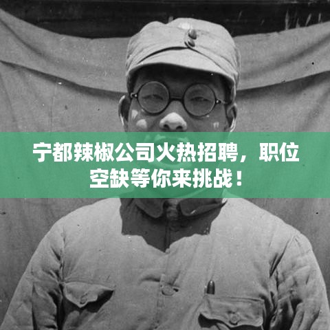 宁都辣椒公司火热招聘，职位空缺等你来挑战！