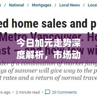 今日加元走势深度解析,市场动向、影响因素全观察