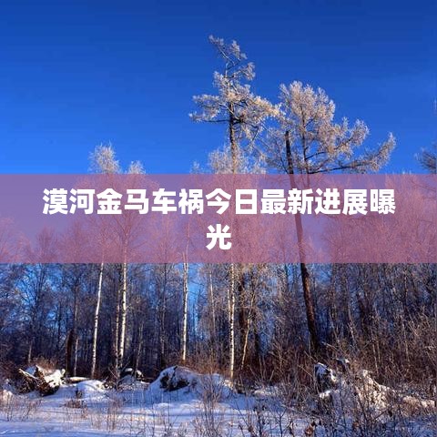 漠河金马车祸今日最新进展曝光