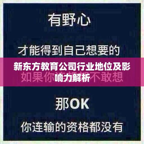 新东方教育公司行业地位及影响力解析