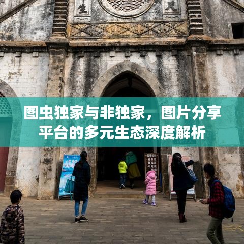 图虫独家与非独家，图片分享平台的多元生态深度解析