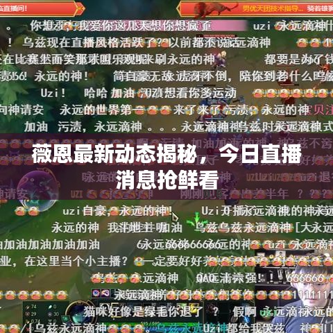 薇恩最新动态揭秘，今日直播消息抢鲜看