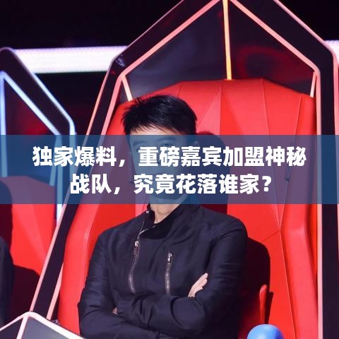 独家爆料,重磅嘉宾加盟神秘战队,究竟花落谁家?