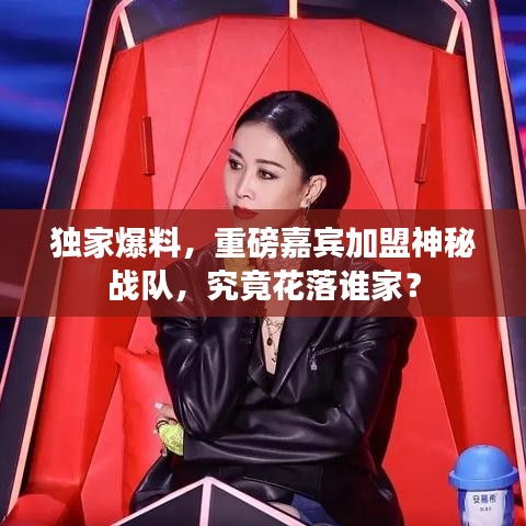 独家爆料,重磅嘉宾加盟神秘战队,究竟花落谁家?