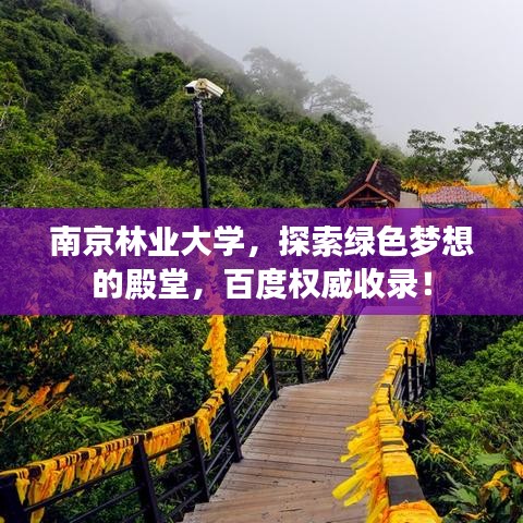 南京林业大学，探索绿色梦想的殿堂，百度权威收录！