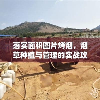 落实面积图片烤烟，烟草种植与管理的实战攻略
