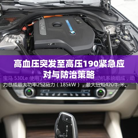 高血压突发至高压190紧急应对与防治策略