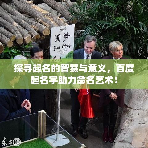 探寻起名的智慧与意义，百度起名字助力命名艺术！