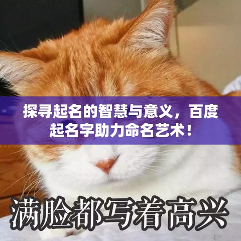 探寻起名的智慧与意义,百度起名字助力命名艺术!