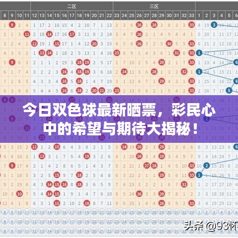 今日双色球最新晒票,彩民心中的希望与期待大揭秘!